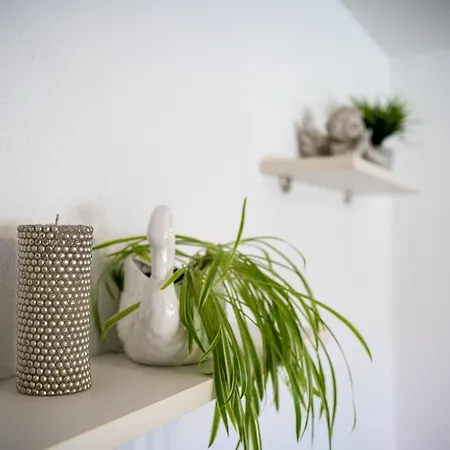 Molnar Apartment Zirovnica