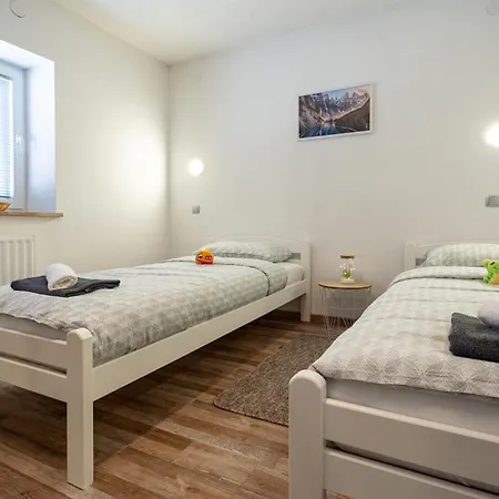 Apartment Molnar *